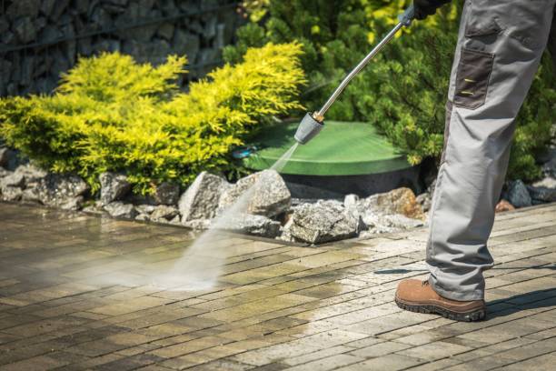 Best Roof Cleaning and Mildew Removal in Hoffman Estates, IL